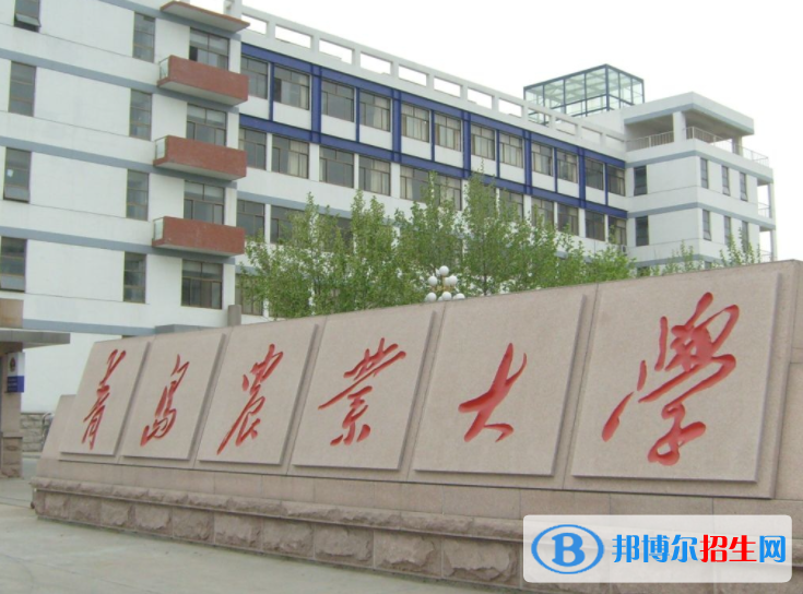 2023山东二本大学名单排名一览表