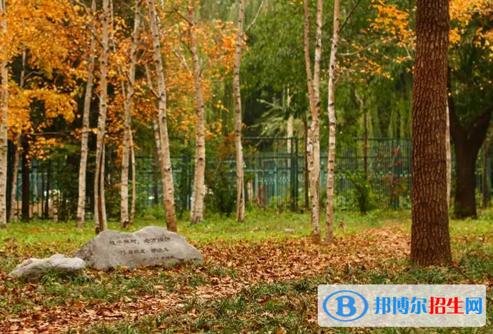 高考优秀作文:以那一刻为话题（3篇）
