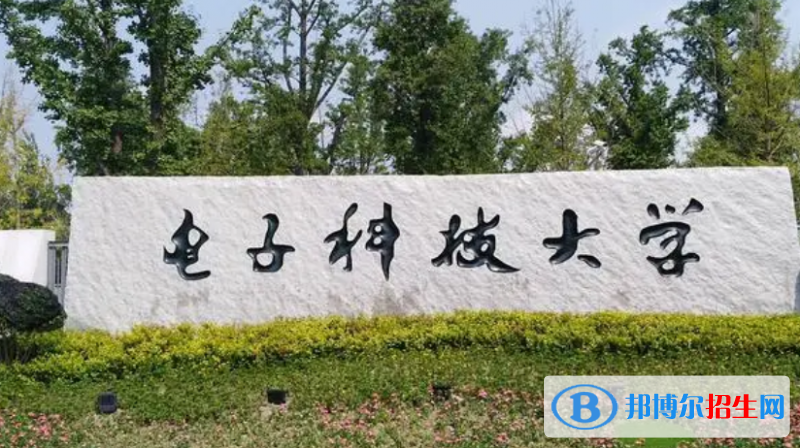 2023工科最热门的十大专业排名