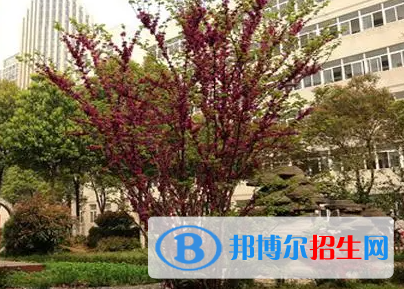 2023武汉职教中心有哪些   武汉职教中心名单一览表
