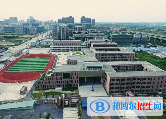 合肥一中肥东分校2022录取分数线（2023参考）