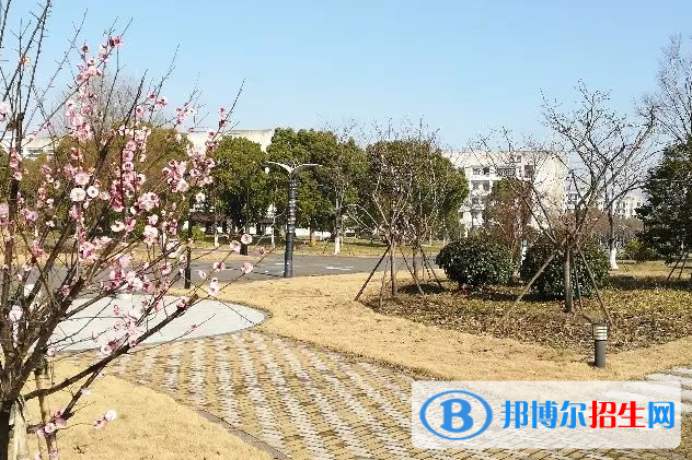 2023年山东高考时间