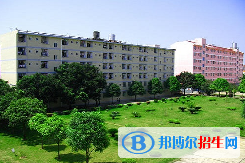 2024百色职业学校有哪些  百色职业学校名单一览表