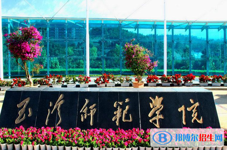 2023玉溪师范学院最新排名多少（近三年排名）