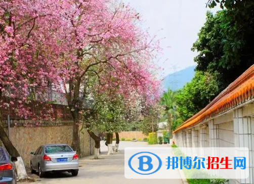 2024昆明民办职业学校有哪些  昆明民办职业学校名单一览表