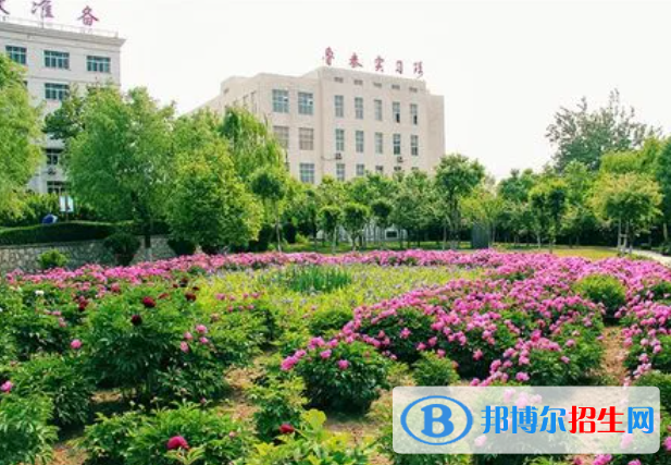 2024淄博公办职业学校有哪些  淄博公办职业学校名单一览表