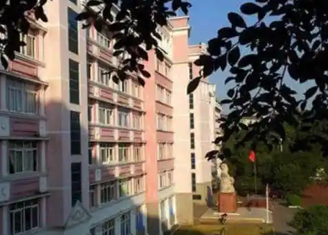 2023巴中幼师学校有哪些 巴中幼师学校名单一览表