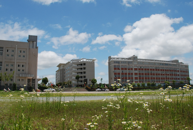 2023安庆计算机学校有哪些 安庆计算机学校名单一览表