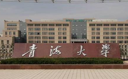 河池学院和青海大学怎么选？哪个好？附全国排名和分数线