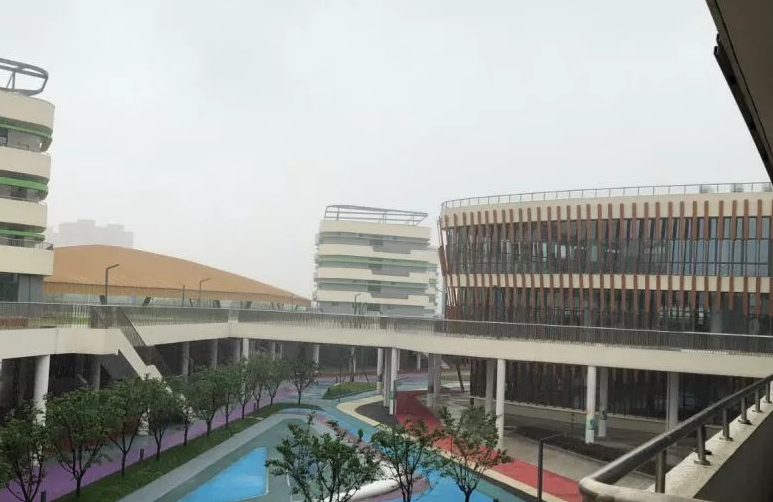 2023年上海帕丁顿双语学校小学部课程体系