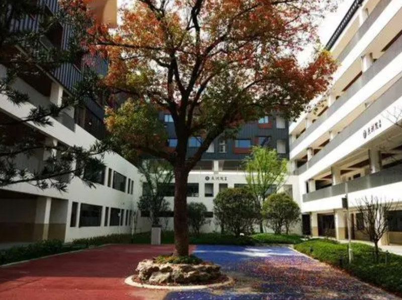 2023苏州大学附属中学招生计划 招生人数是多少(附要求、条件、对象)