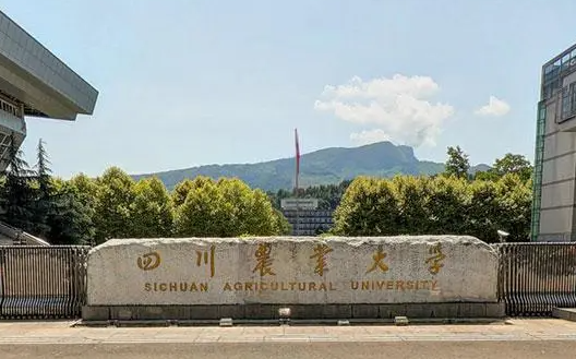 哈尔滨体育学院和四川农业大学怎么选？哪个好？附全国排名和分数线