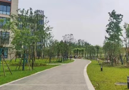 2024宣城卫生学校有哪些 宣城卫生学校名单一览表