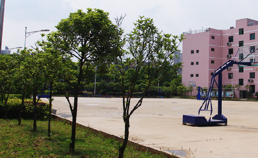 2023株洲公办航空学校有哪些 株洲公办航空学校名单一览表