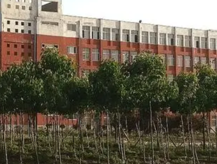 2023周口市联营职业中等专业学校招生计划 招生人数是多少(附要求、条件、对象)