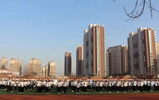 2024沧州公办幼师学校有哪些 沧州公办幼师学校名单一览表