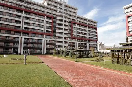 2023日照公办卫生学校有哪些 日照公办卫生学校名单一览表