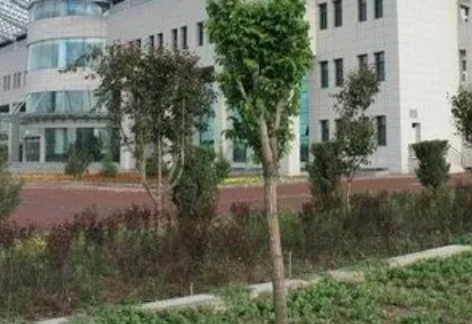 2023石河子公办卫生学校有哪些 石河子公办卫生学校名单一览表