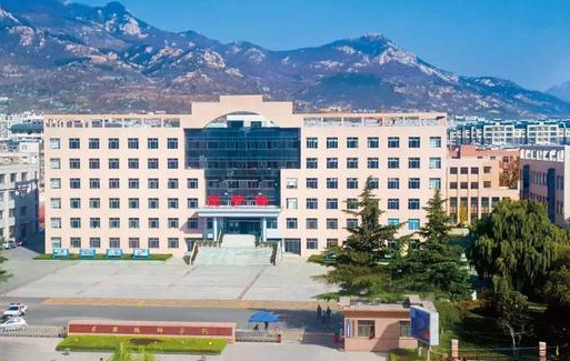 2023泰安民办幼师学校有哪些 泰安民办幼师学校名单一览表