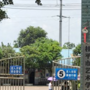 桂平市艺术学校