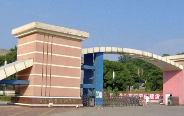 2023宜宾民办电子商务学校有哪些 宜宾民办电子商务学校名单一览表