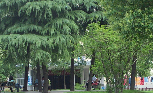 2023驻马店公办汽修学校有哪些 驻马店公办汽修学校名单一览表