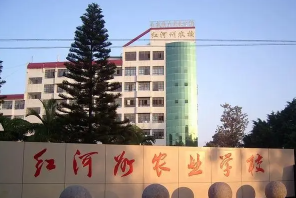 2023红河公办电子商务学校有哪些 红河公办电子商务学校名单一览表