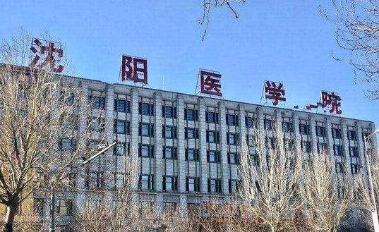 沈阳医学院什么专业好，沈阳医学院专业排名