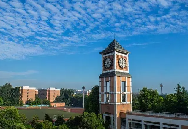 2023德阳公办计算机学校有哪些 德阳公办计算机学校名单一览表