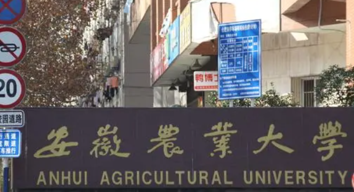 安徽农业大学什么专业好，安徽农业大学专业排名