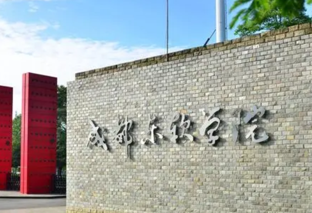 成都东软学院什么专业好，成都东软学院专业排名