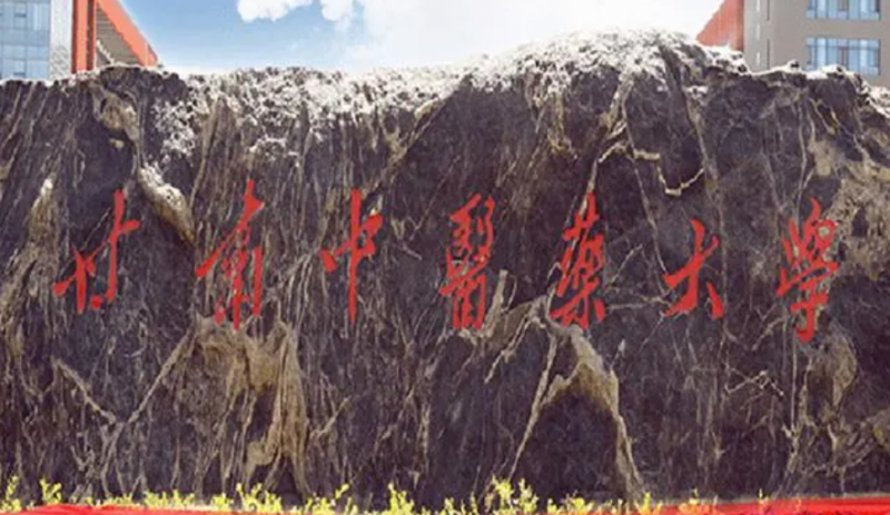 甘肃中医药大学什么专业好，甘肃中医药大学专业排名