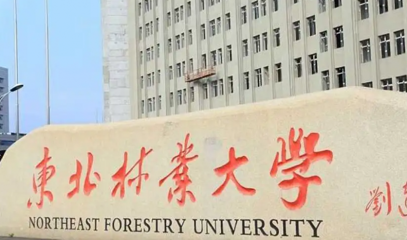 东北林业大学什么专业好，东北林业大学专业排名