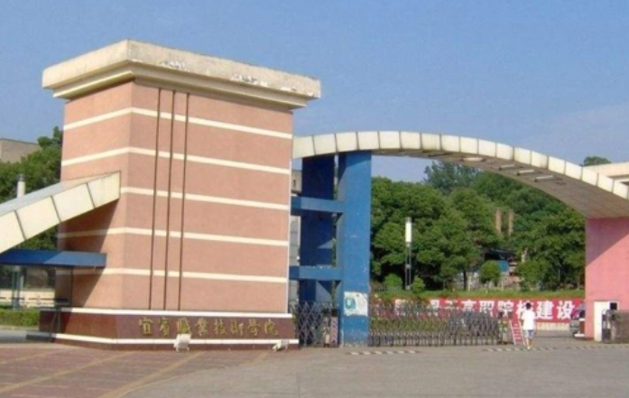 2023宜宾电子商务学校有哪些 宜宾电子商务学校名单一览表
