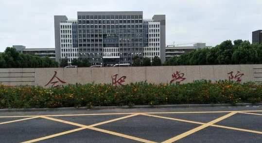 合肥学院什么专业好，合肥学院专业排名