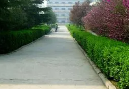 2023焦作民办机电学校有哪些 焦作民办机电学校名单一览表