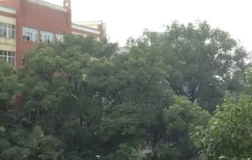 2023泸州民办厨师学校有哪些 泸州民办厨师学校名单一览表