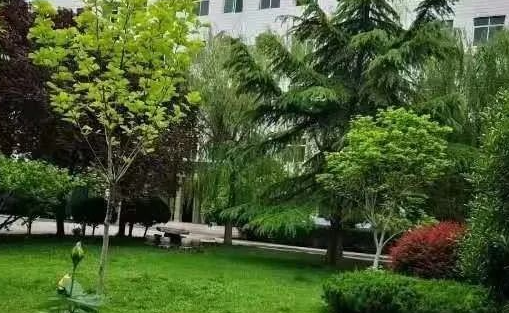 2023西安民办厨师学校有哪些 西安民办厨师学校名单一览表