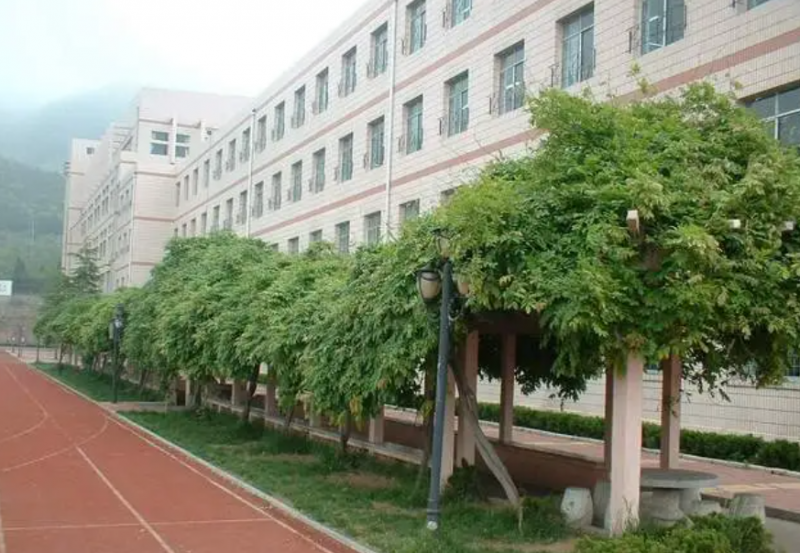 2023年烟台外国语实验学校入学考试