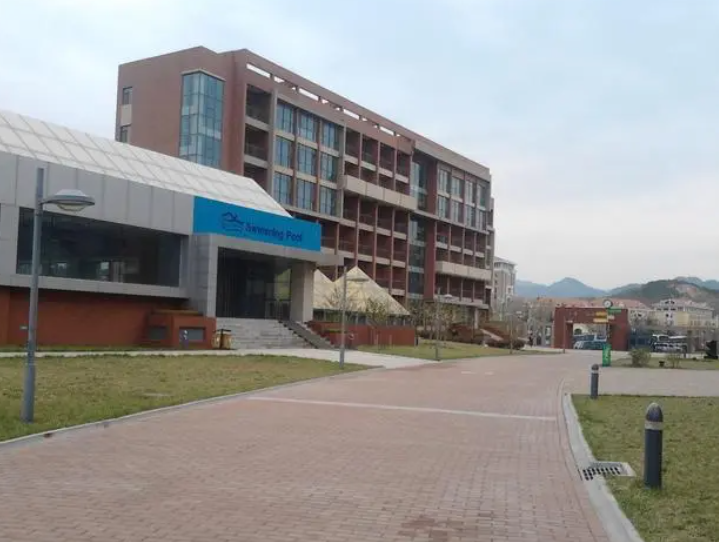 2023年青岛耀中国际学校课程体系