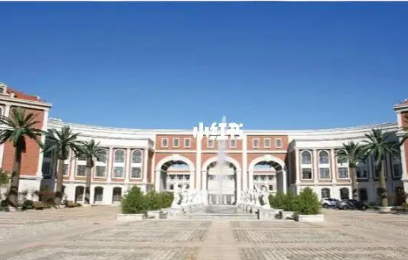 2023年青岛墨尔文中学招生政策