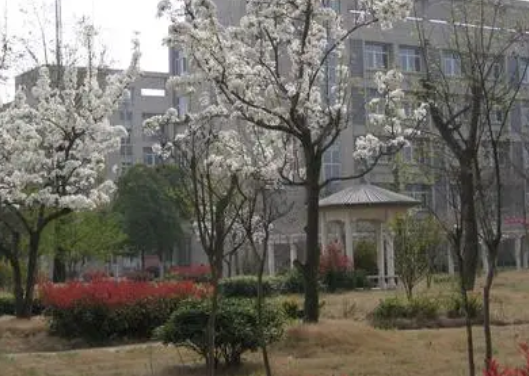 2024宿迁烹饪学校有哪些 宿迁烹饪学校名单一览表