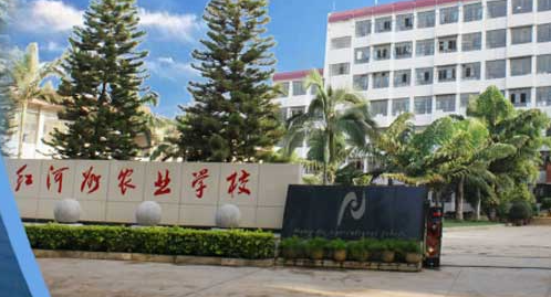 2023红河公办护理学校有哪些 红河公办护理学校名单一览表