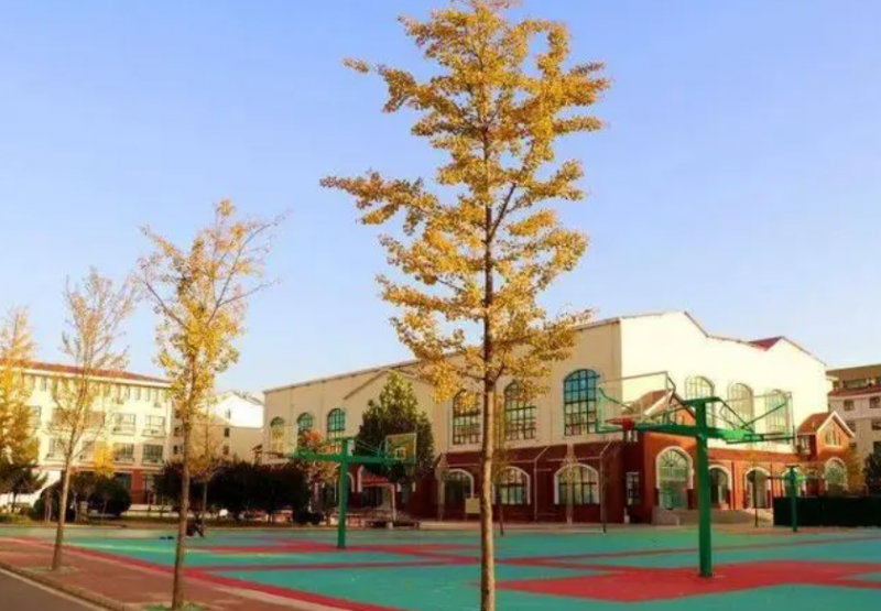 2023鹤壁轨道交通学校有哪些 鹤壁轨道交通学校名单一览表