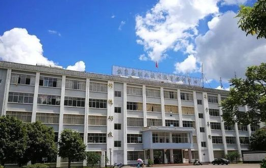 2023楚雄新能源汽车学校有哪些 楚雄新能源汽车学校名单一览表