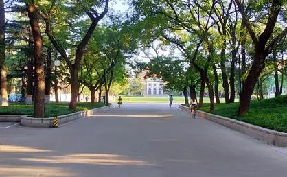 广东高考志愿填报规则及技巧（2023年参考）