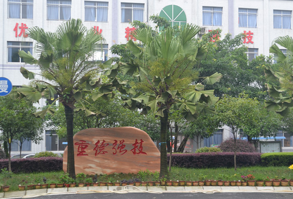 2023泸州护理学校有哪些 泸州护理学校名单一览表