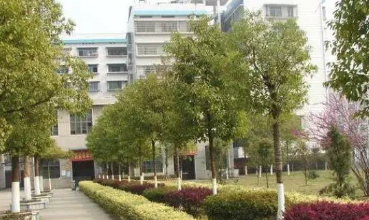 2023临沂护理学校有哪些 临沂护理学校名单一览表
