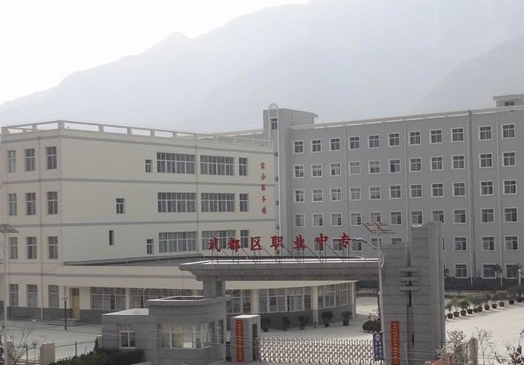 武都职业中学