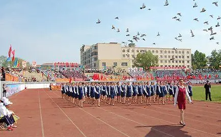 2024鹤岗护理学校有哪些 鹤岗护理学校名单一览表